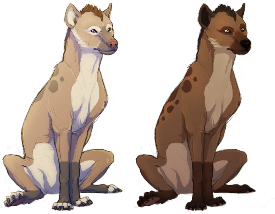 Wolf And Hyena Clipart (1010x800), Png Download