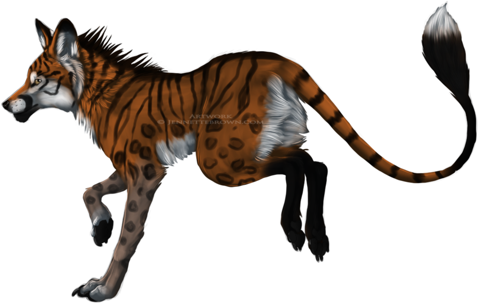 Outline Clip Art Animal - Fox Tiger Hybrid - Png Download (1024x674), Png Download