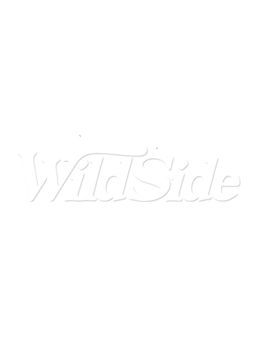 Trump American Badass Clipart (675x675), Png Download
