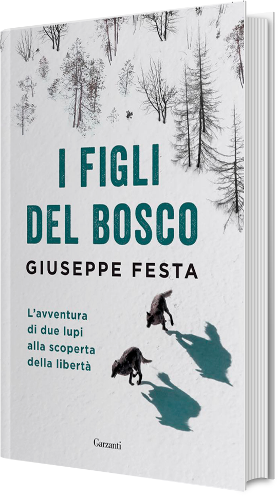 Libri Di Giuseppe Festa Clipart (1654x1063), Png Download