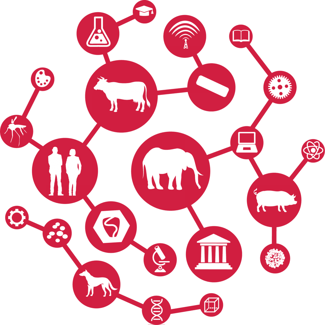 Clip Art - Png Download (1080x1080), Png Download