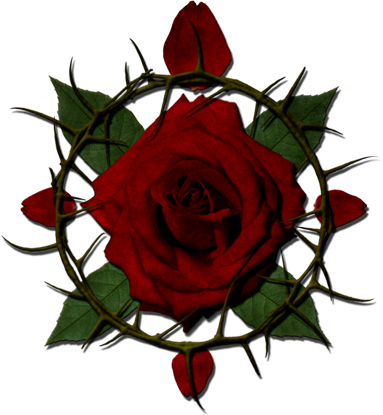View Forum - Rose With Thorns Png Clipart (1300x1429), Png Download