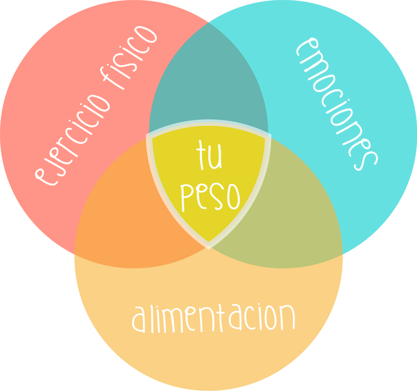 Circulos - Circle Clipart (609x571), Png Download