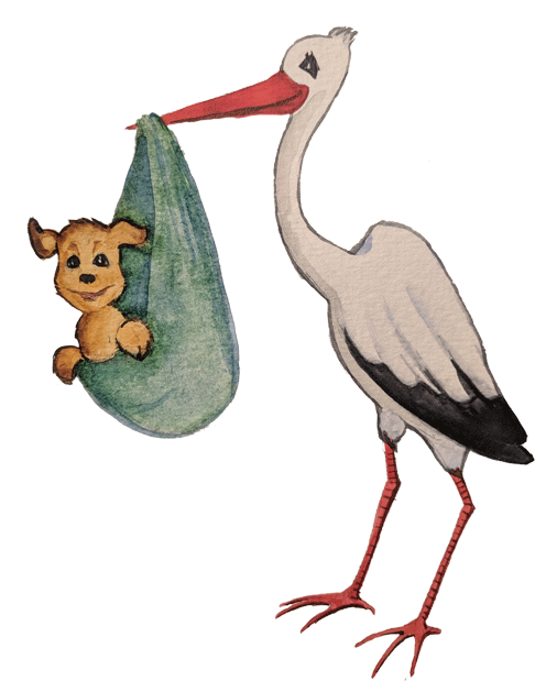 Growing Family To Find A Schedule That Caters To Your - Black Stork Clipart (500x628), Png Download