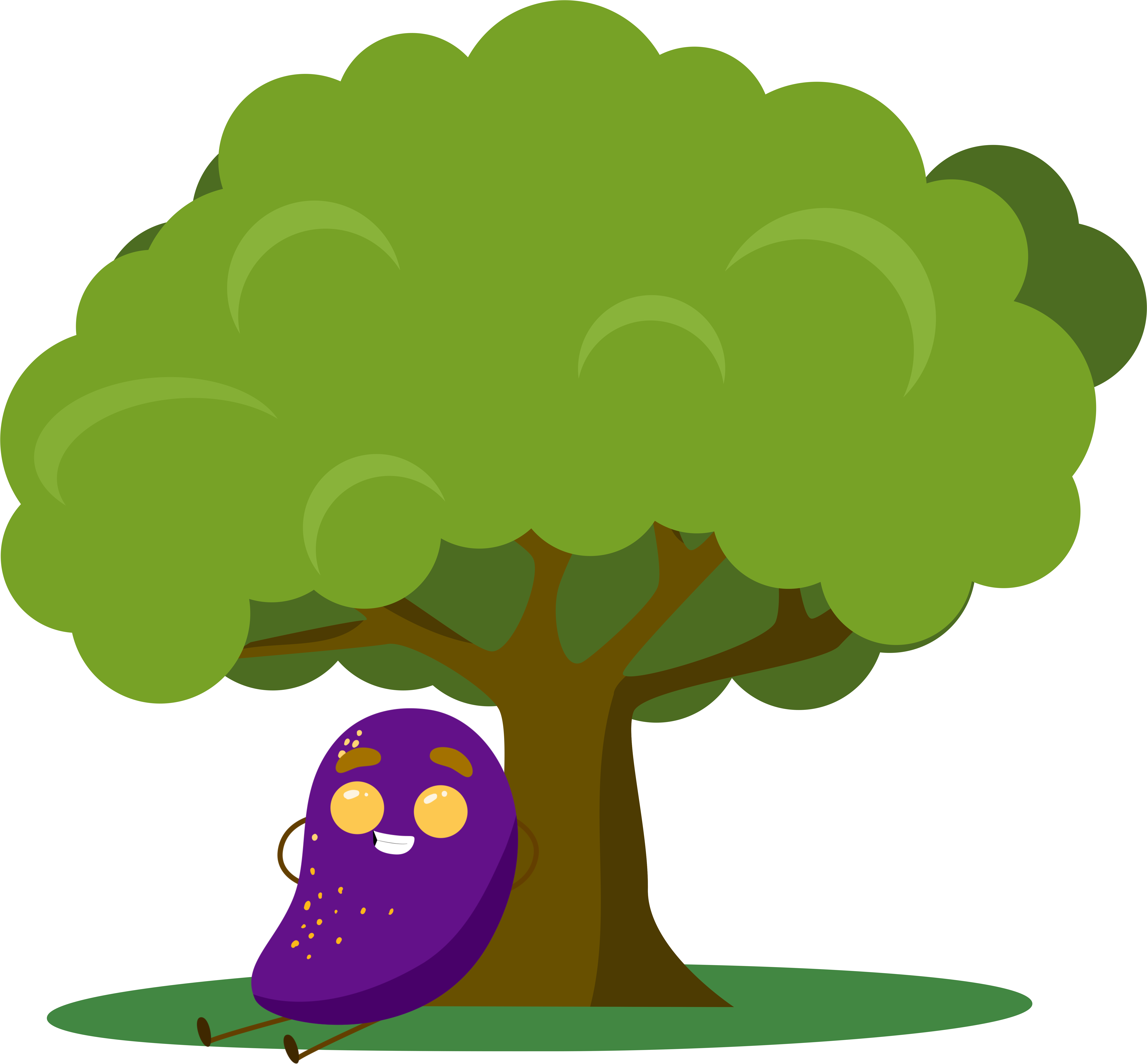 Mango Leaf Png Clipart Large Size Png Image PikPng