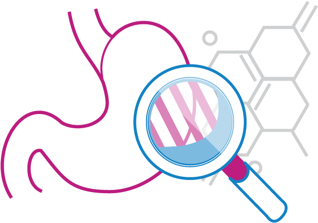 Did You Know - Stomach Graphic Png Clipart (707x497), Png Download