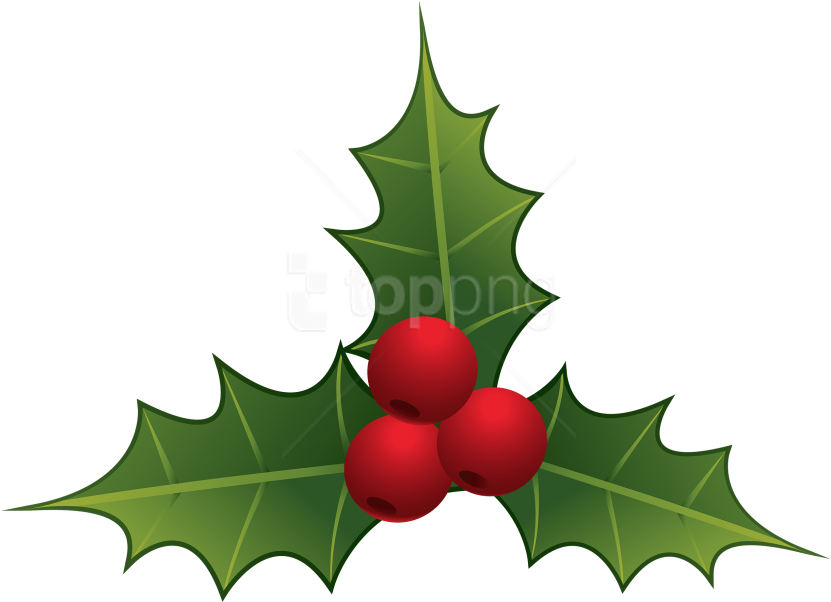 Download Mistletoe Clipart Png Photo - Mistletoe Clipart Png Transparent Png (851x626), Png Download