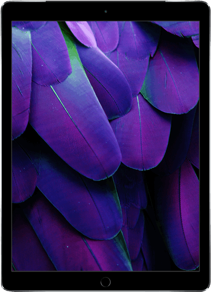 Ipad® Pro - Eb Games Nz Refurbished Ps4 Pro Clipart (600x600), Png Download