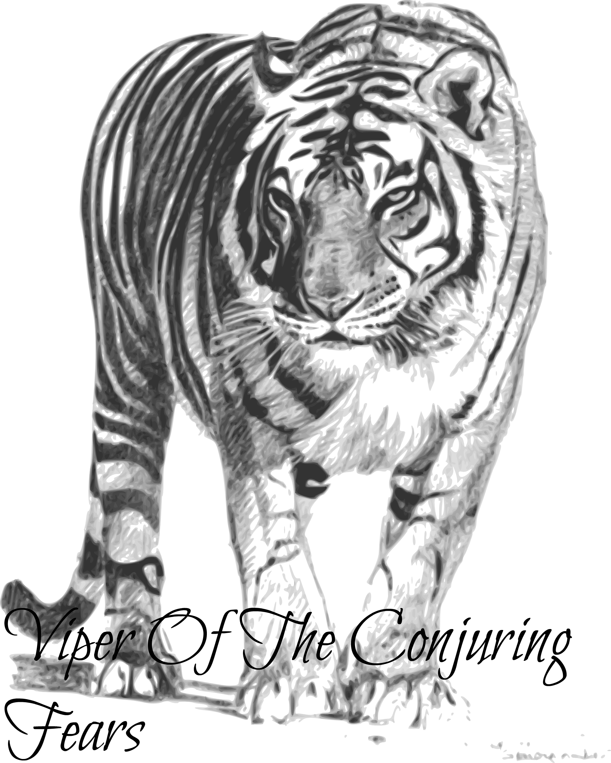 White Tiger Png Transparent Images - Bengal Tiger Black And White Clipart (1979x2472), Png Download
