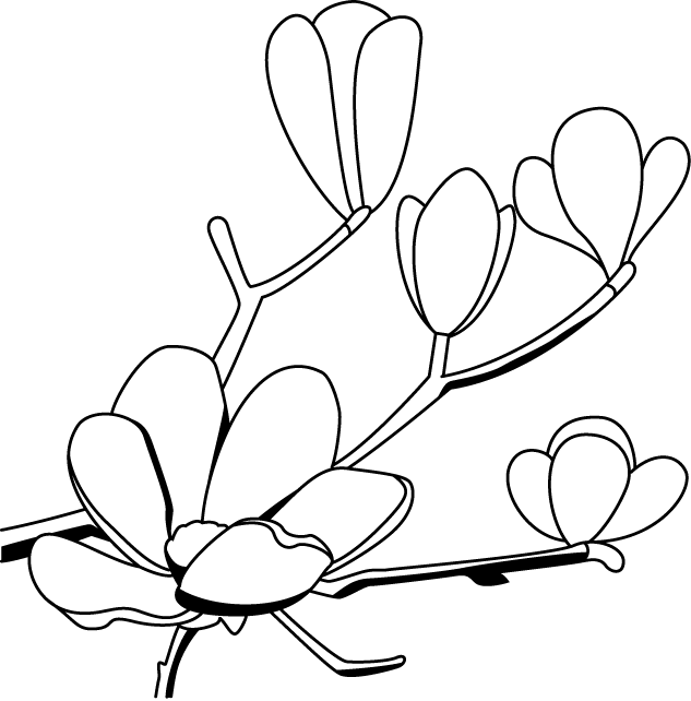 633 X 642 5 0 - Balloon Clipart (633x642), Png Download
