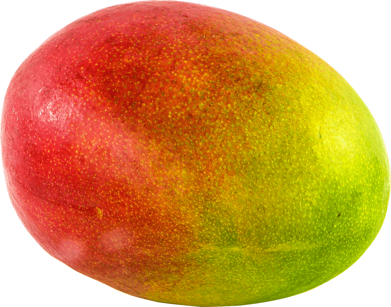 Fruits - Mango Transparent Clipart (1280x1007), Png Download