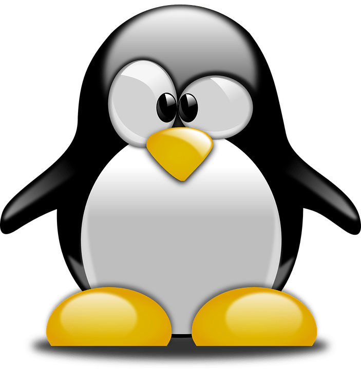 Penguin Tux Animal Free Vector Graphic On Pixabay - การ์ตูน นก เพนกวิน น่า รัก Clipart (703x720), Png Download