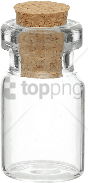 Free Png Download Transparent Glass Bottle Png Images - Transparent Glass Bottle Png Clipart (480x704), Png Download