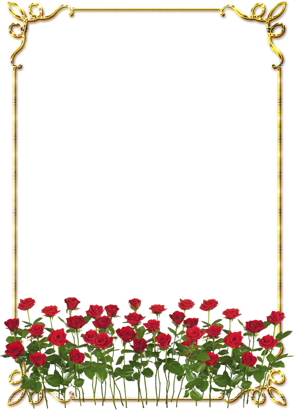 Frames Png Douradas Com Rosa Vermelhas - Rose Border Flower Design Clipart (1120x1600), Png Download