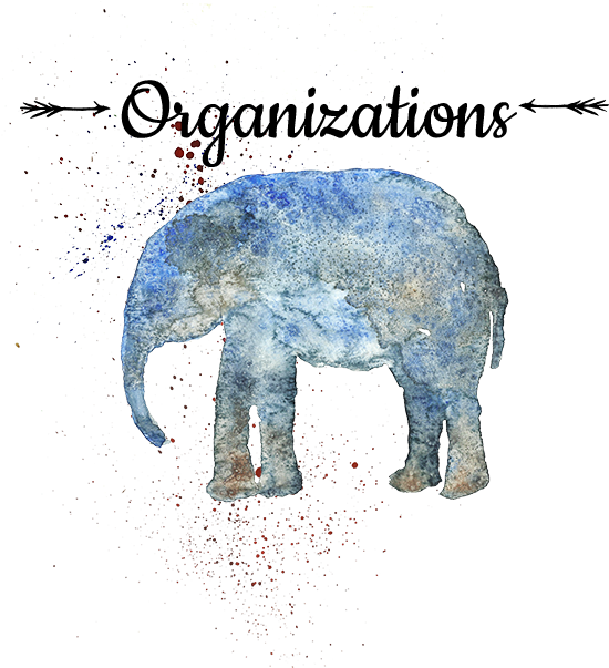 Elephant Watercolor Silhouette Clipart (800x800), Png Download