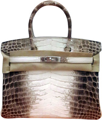 Hermes Birkin Himalaya Crocodile Png Clipart (500x717), Png Download