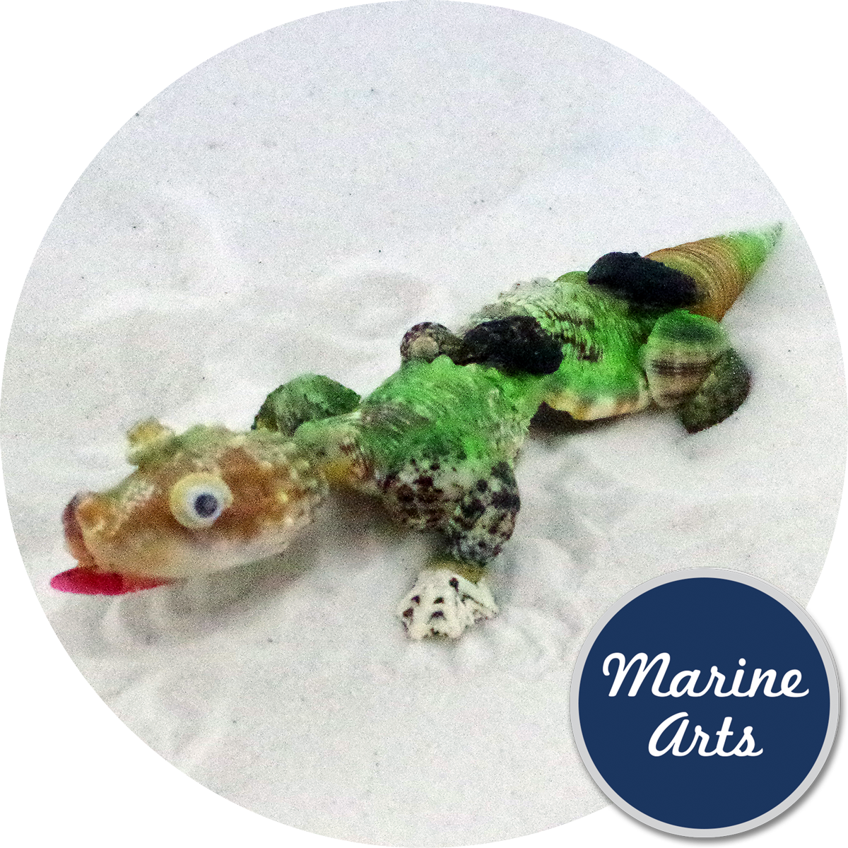 Shellasic Park - Shell Crocodile - De Marchi Clipart (1200x1200), Png Download