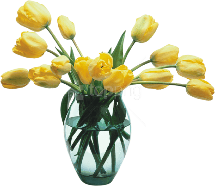 Free Png Download Glass Vase With Yellow Tulips Png - Transparent Flower Vase Png Clipart (850x734), Png Download