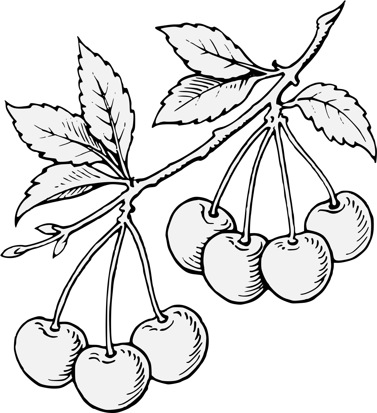 Cherry Sprig Fructed - Seedless Fruit Clipart (1237x1360), Png Download