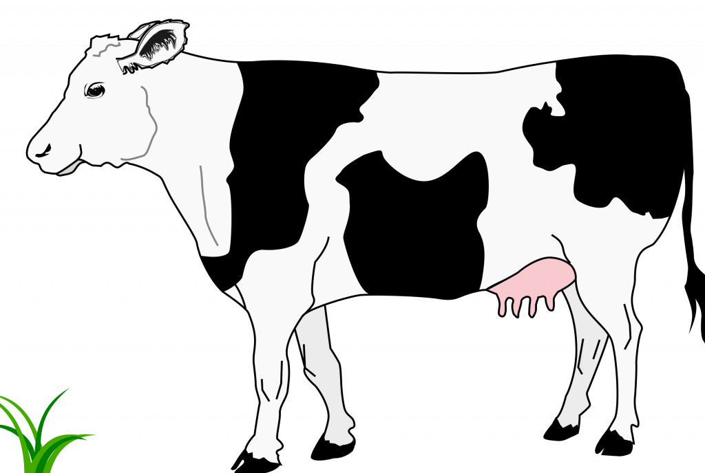 Banner Transparent Stock Top Of In Pictures - Black And White Image Of Cow Clipart (1024x688), Png Download