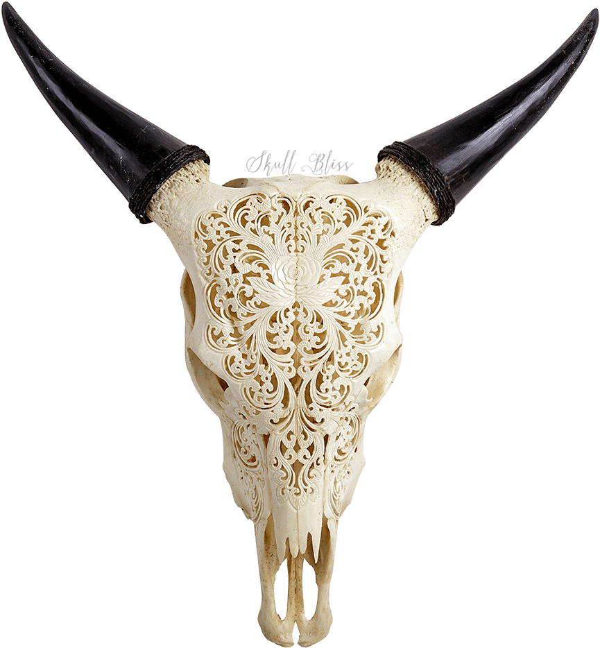 Carved Cow Skull - Cow Skull Carving Clipart (1000x1000), Png Download