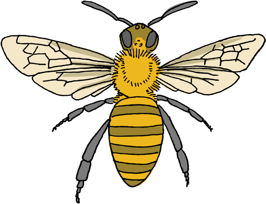 Honey Bee Tattoo Clipart (1200x1200), Png Download