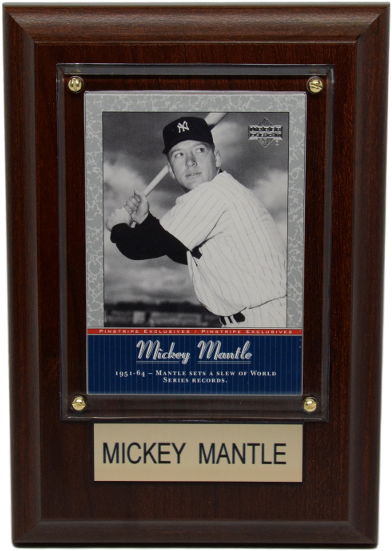 Zoom - Picture Frame Clipart (600x600), Png Download