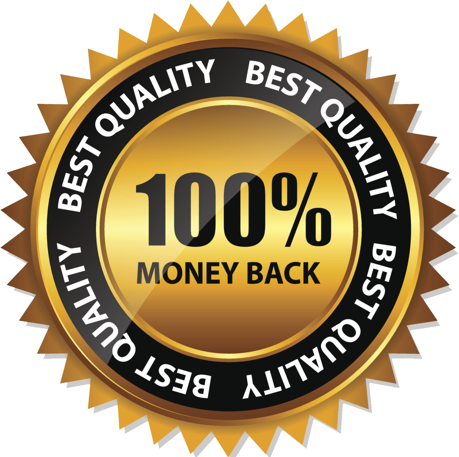 100 Percent Money Back Transparent Back Ground Clipart (1665x1476), Png Download