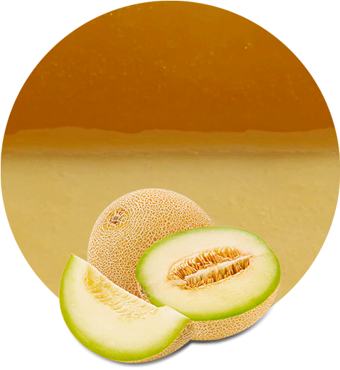 Honeydew Melon Concentrate - Honeydew Clipart (536x595), Png Download