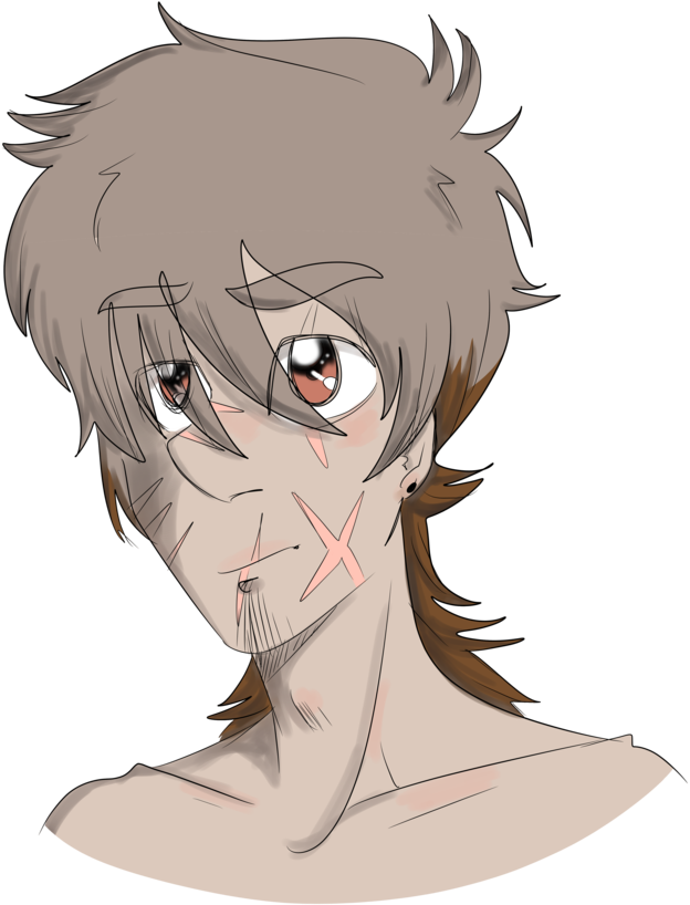 Everglades Drawing Zombie Apocalypse Clipart (624x818), Png Download