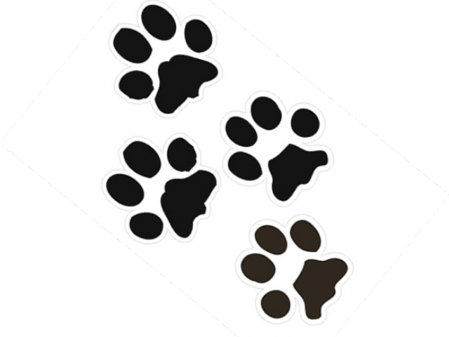 Bobcat Paw Print Outline - Bobcat Paw Prints Clipart (640x480), Png Download