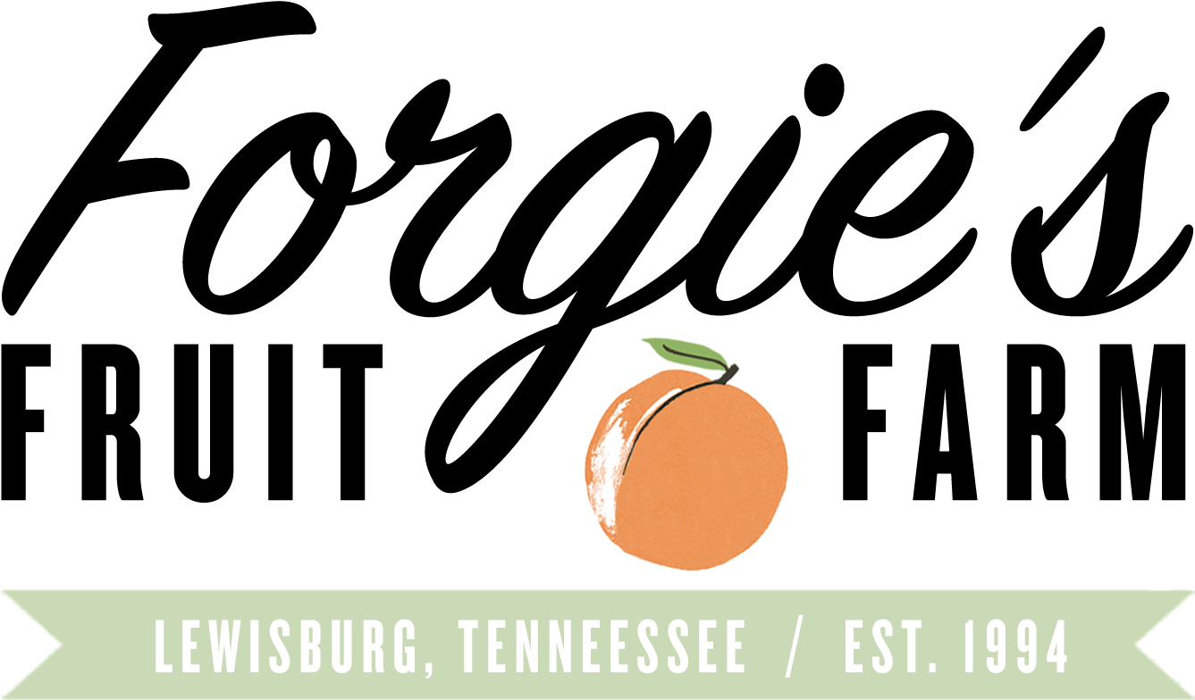 Tangerine Clipart (1668x878), Png Download