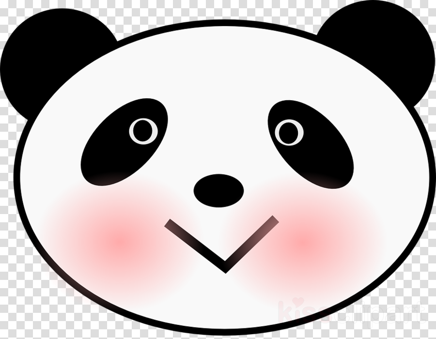 Download Panda Face Clipart Giant Panda Bear Clip Art - Teddy Bear - Png Download (900x700), Png Download