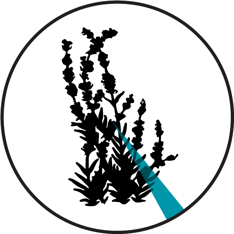 Pie Chart - Silhouette Clipart (783x783), Png Download