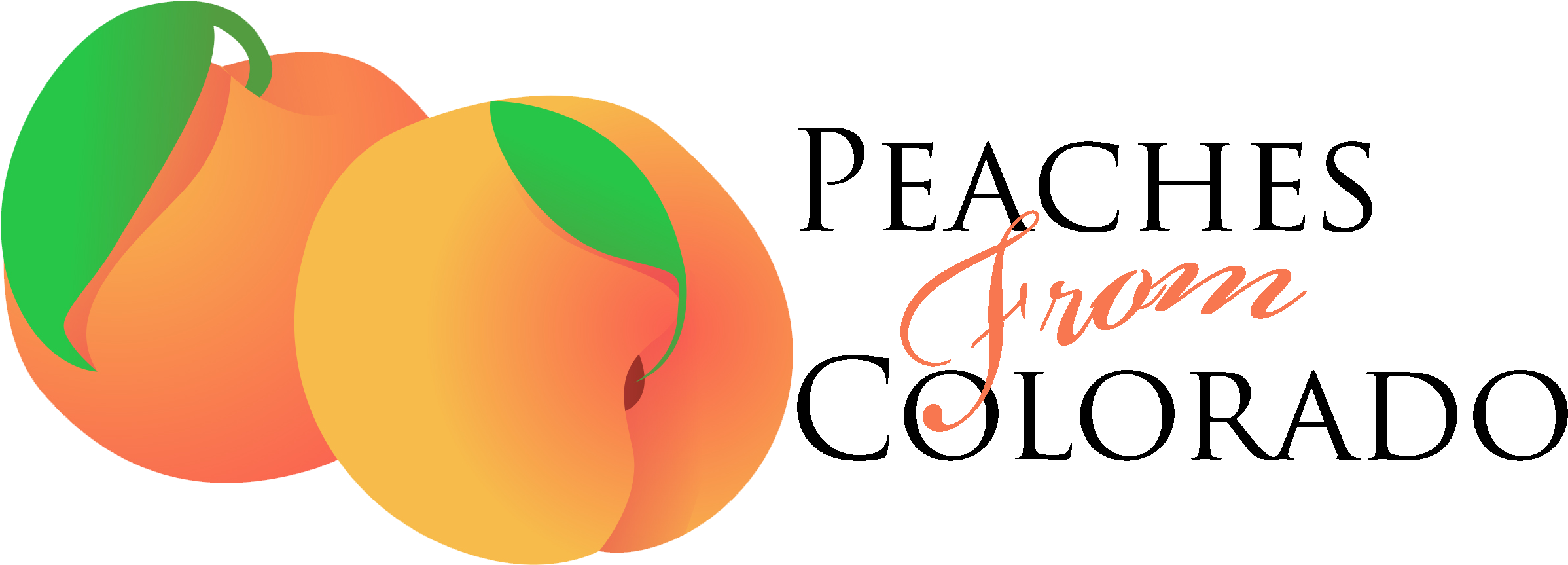 Apple Clipart (2408x983), Png Download