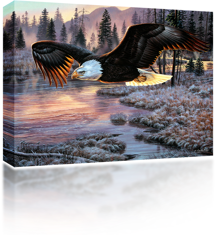 American Eagle - Sunsout Eagle Dawn 1000pc Jigsaw Puzzle Clipart (1024x1024), Png Download