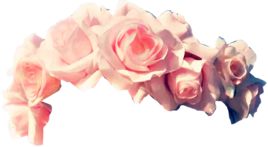 Pink Rose Clipart Rose Crown - Flower Crown Without Background - Png Download (1024x1024), Png Download
