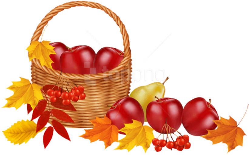 Free Png Download Basket With Fruits And Autumn Leaves - Transparent Autumn Clip Art (850x525), Png Download