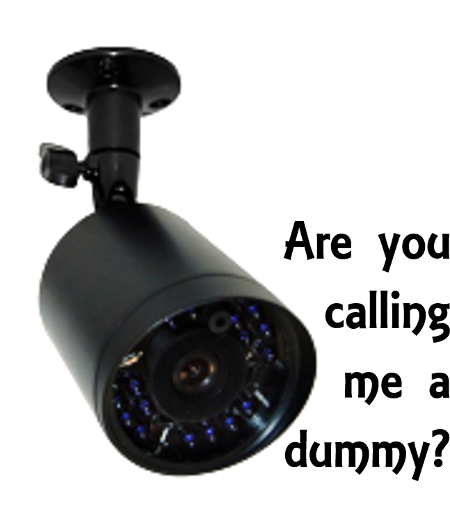 Should You Buy Dummy Outdoor Security Cameras - Astellas/bladder And Bowel Foundation - Astellas Clipart (734x757), Png Download