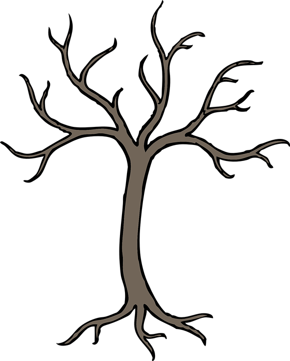 Tree Outline - Bare Tree Clip Art - Png Download (515x640), Png Download