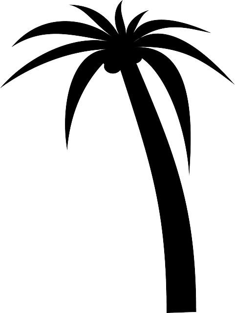 Silhouette Black, Icon, Simple, Outline, Drawing, Silhouette - Palm Tree Clip Art Vector - Png Download (481x640), Png Download