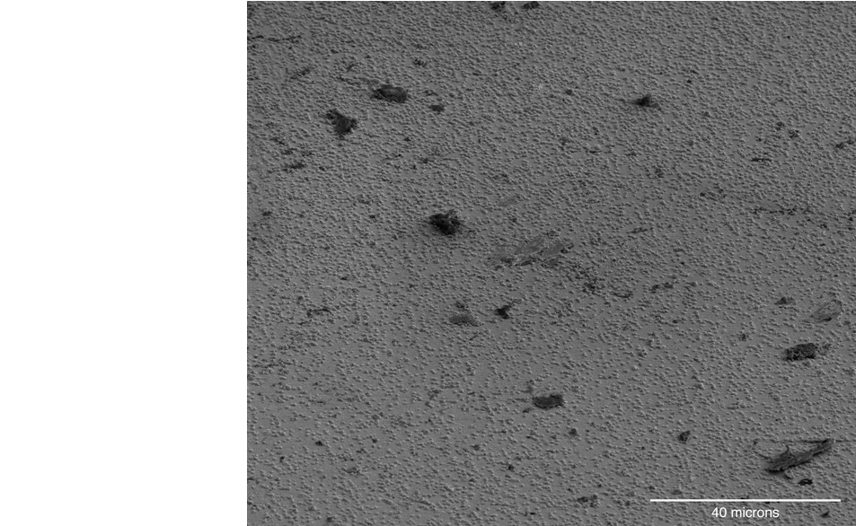 Concrete , Png Download Clipart (953x586), Png Download