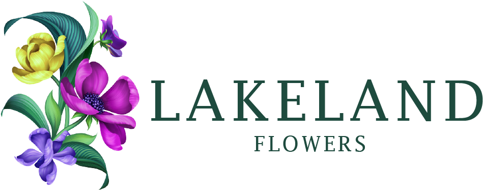 Lakeland, Fl Florist - Rosa Glauca Clipart (1000x431), Png Download