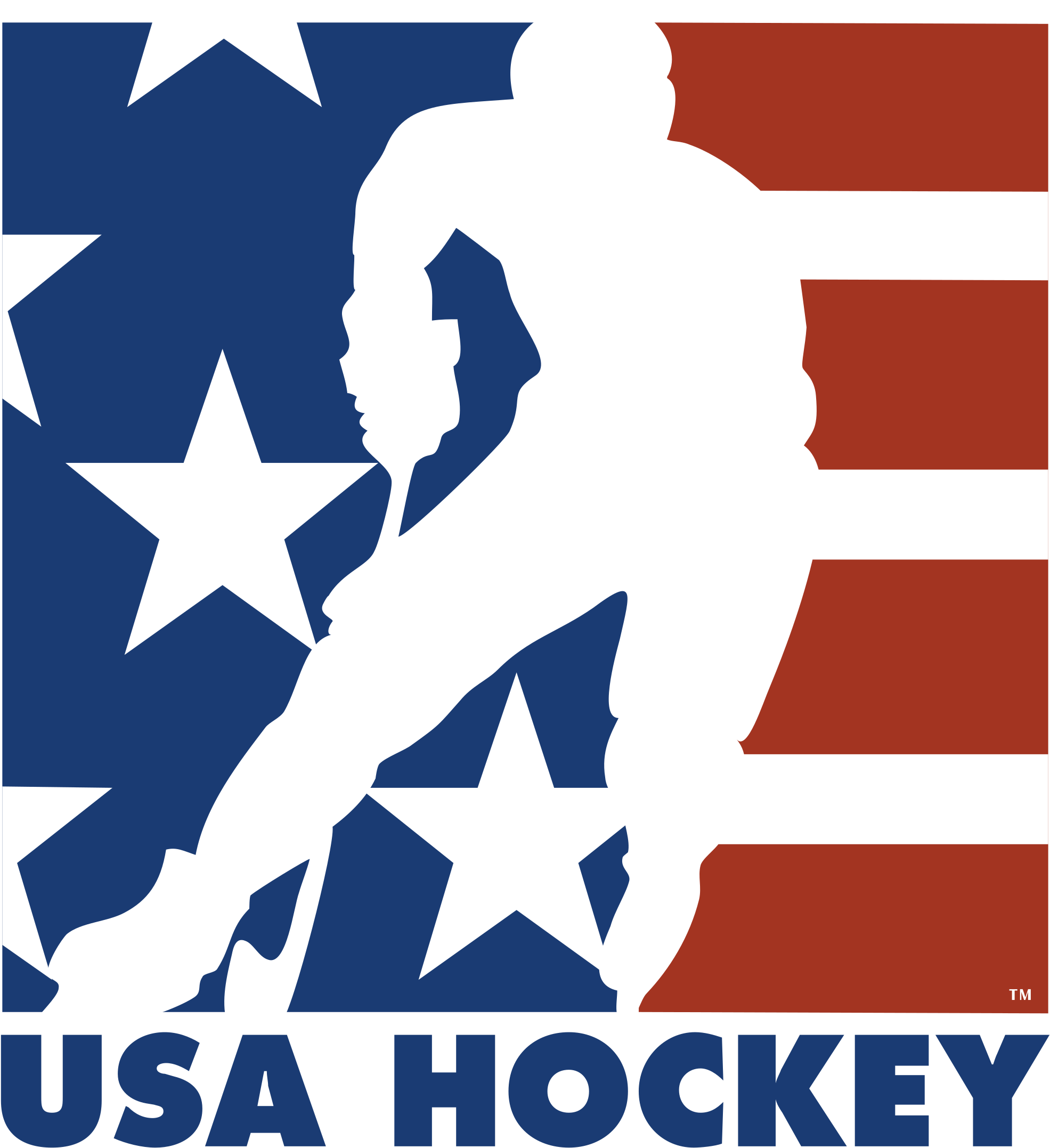 Usa Hockey Logo Png Transparent - Usa Hockey Logo Clipart (2400x2400), Png Download