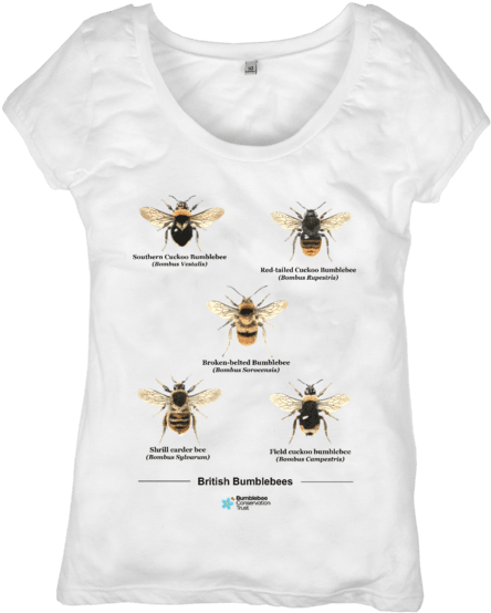 British Bumblebees Top - T-shirt Clipart (640x674), Png Download