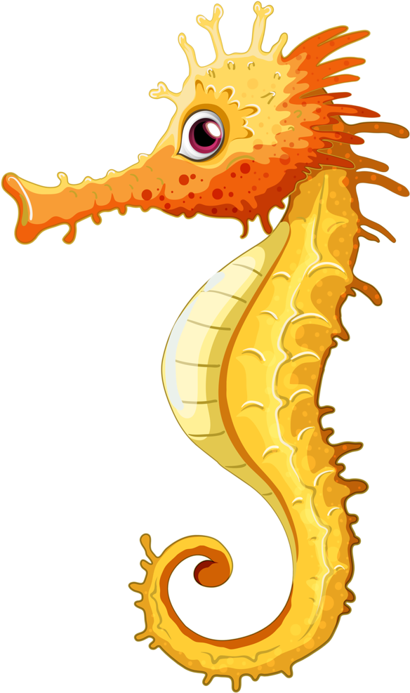Fish Clipart Beach - Seahorse Clipart Png Transparent Png (619x1024), Png Download