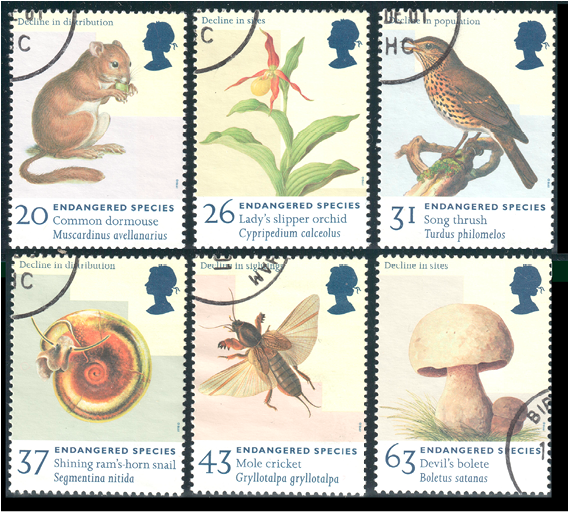3 - 4 - Tif - Endangered Species Postage Stamp Clipart (733x511), Png Download