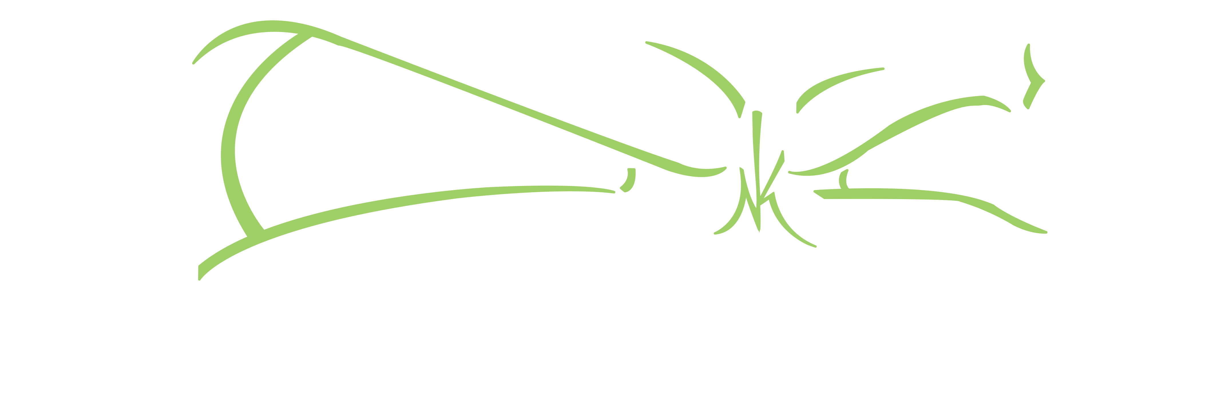 Spooky Nook Sports Logo Clipart (4261x1454), Png Download