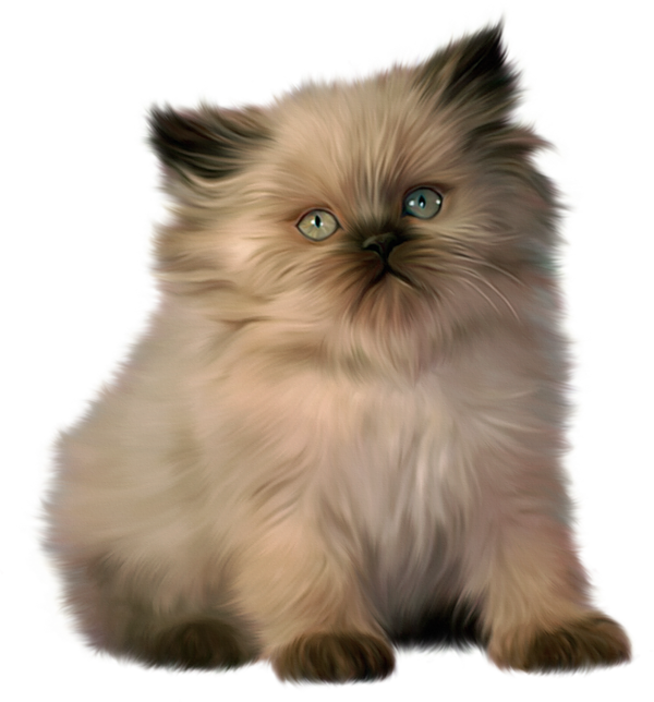 View Full Size - Ragdoll And Bengal Kittens Clipart (600x644), Png Download