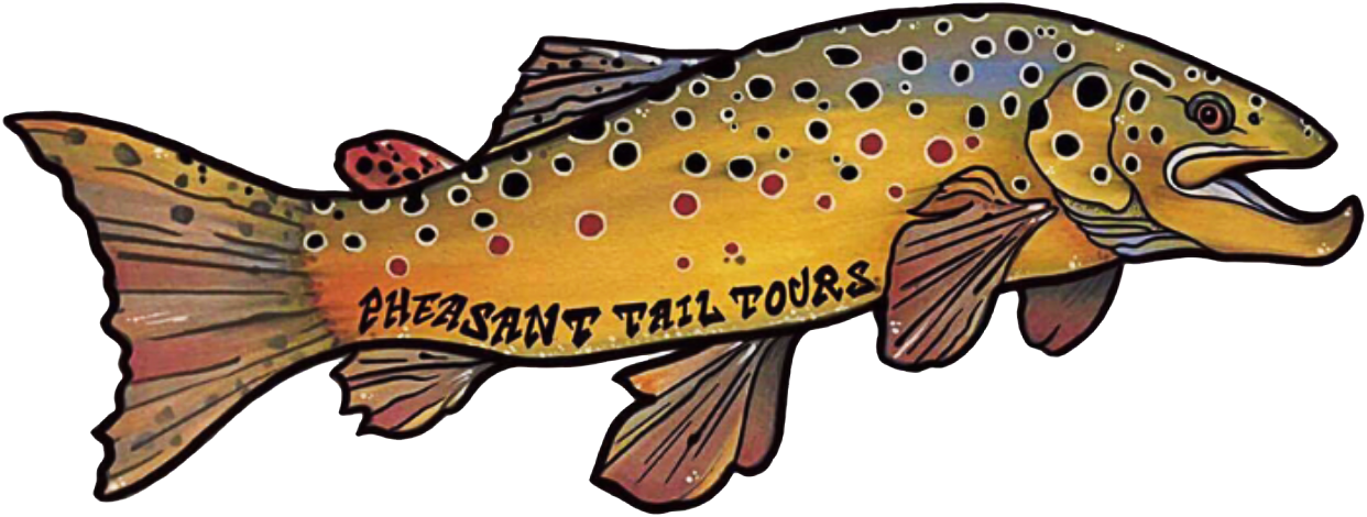 1242 X 470 6 - Brown Trout Clipart (1242x470), Png Download